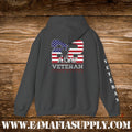 22 A Day Veteran Lives Matter Hoodie