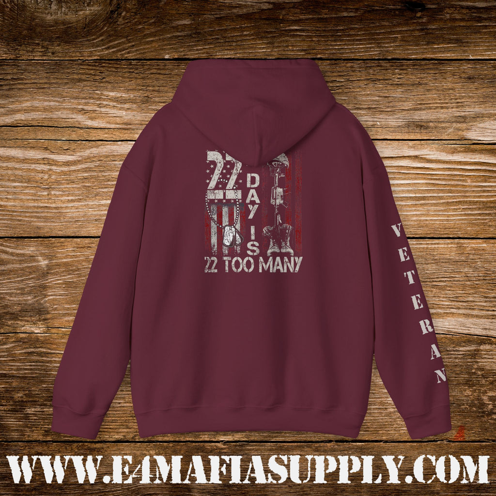 22 A Day Is 22 Too Many Veteran Awareness Hoodie