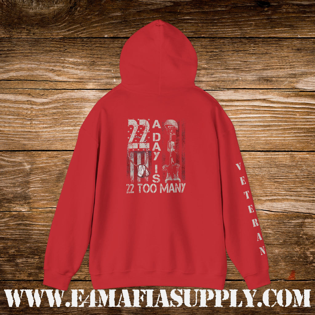 22 A Day Is 22 Too Many Veteran Awareness Hoodie