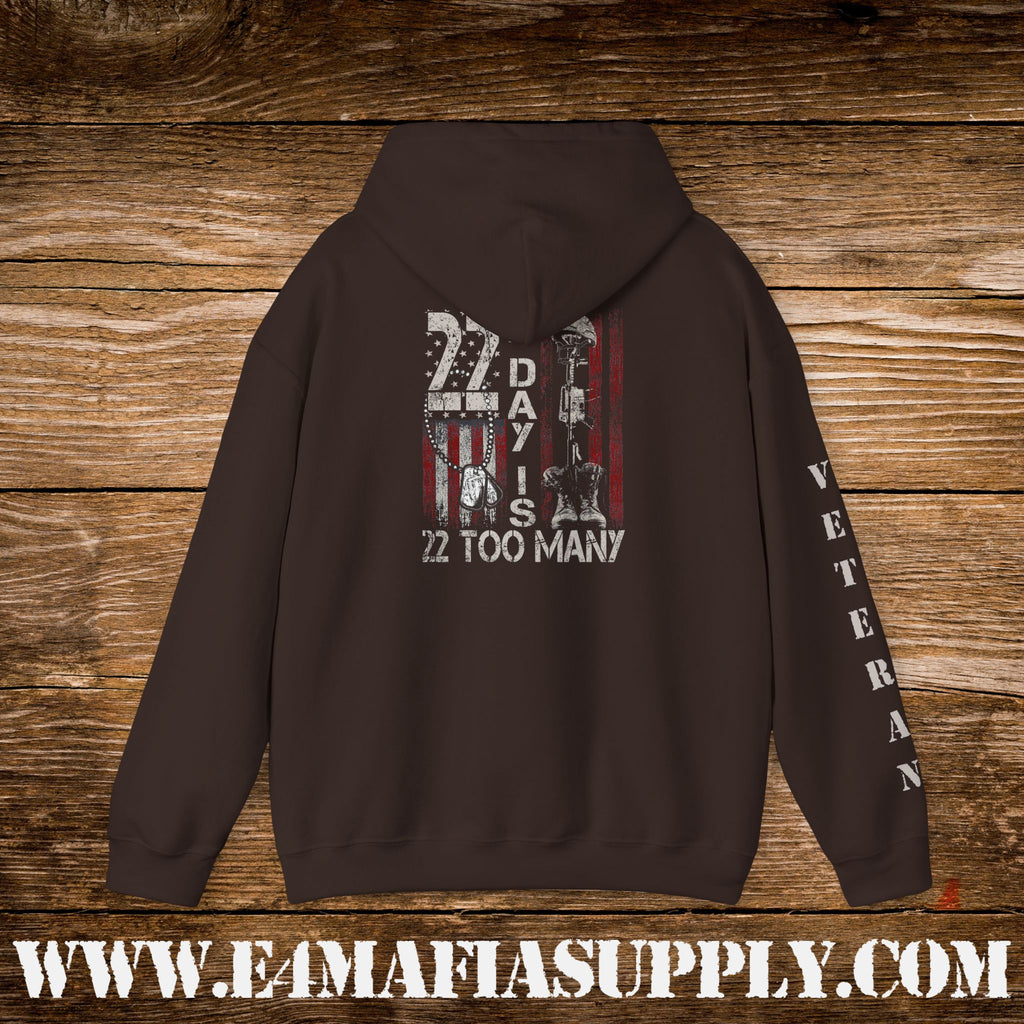 22 A Day Is 22 Too Many Veteran Awareness Hoodie